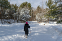 Schneestiefel - Der ideale Schutz fÃ¼r winterliche Abenteuer