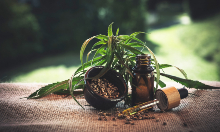 5 Jahre Cannabis-als-Medizin-Gesetz: Eurox Pharma will Evidenzbasis ausbauen und patientengerechte Versorgung sicherstellen